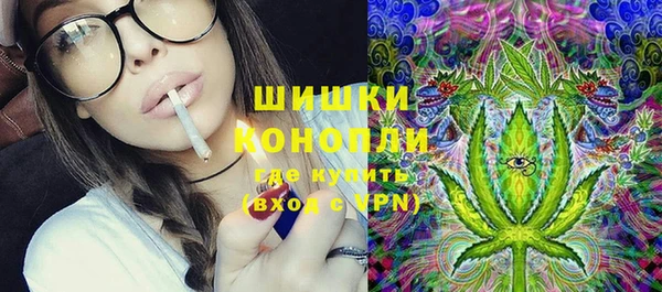 прущие грибы Нея