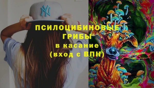 прущие грибы Нея