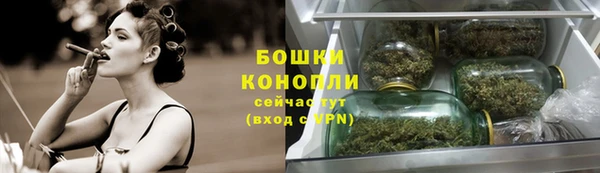 прущие грибы Нея
