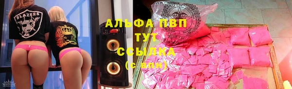 прущие грибы Нея