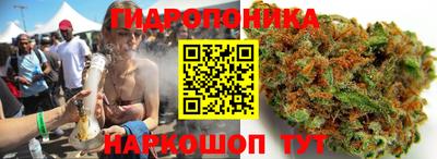 молекула духа Будённовск