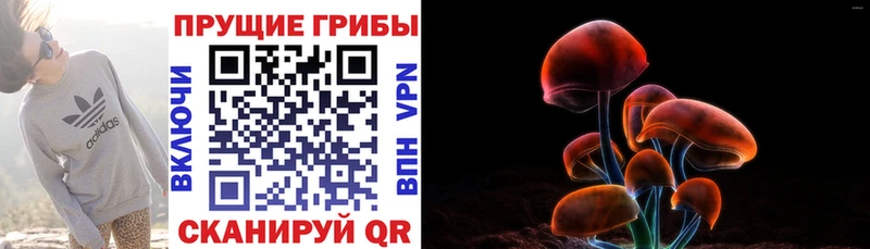Галлюциногенные грибы мицелий  Заволжье 