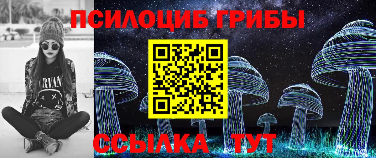 Псилоцибиновые грибы Psilocybine cubensis Заволжье